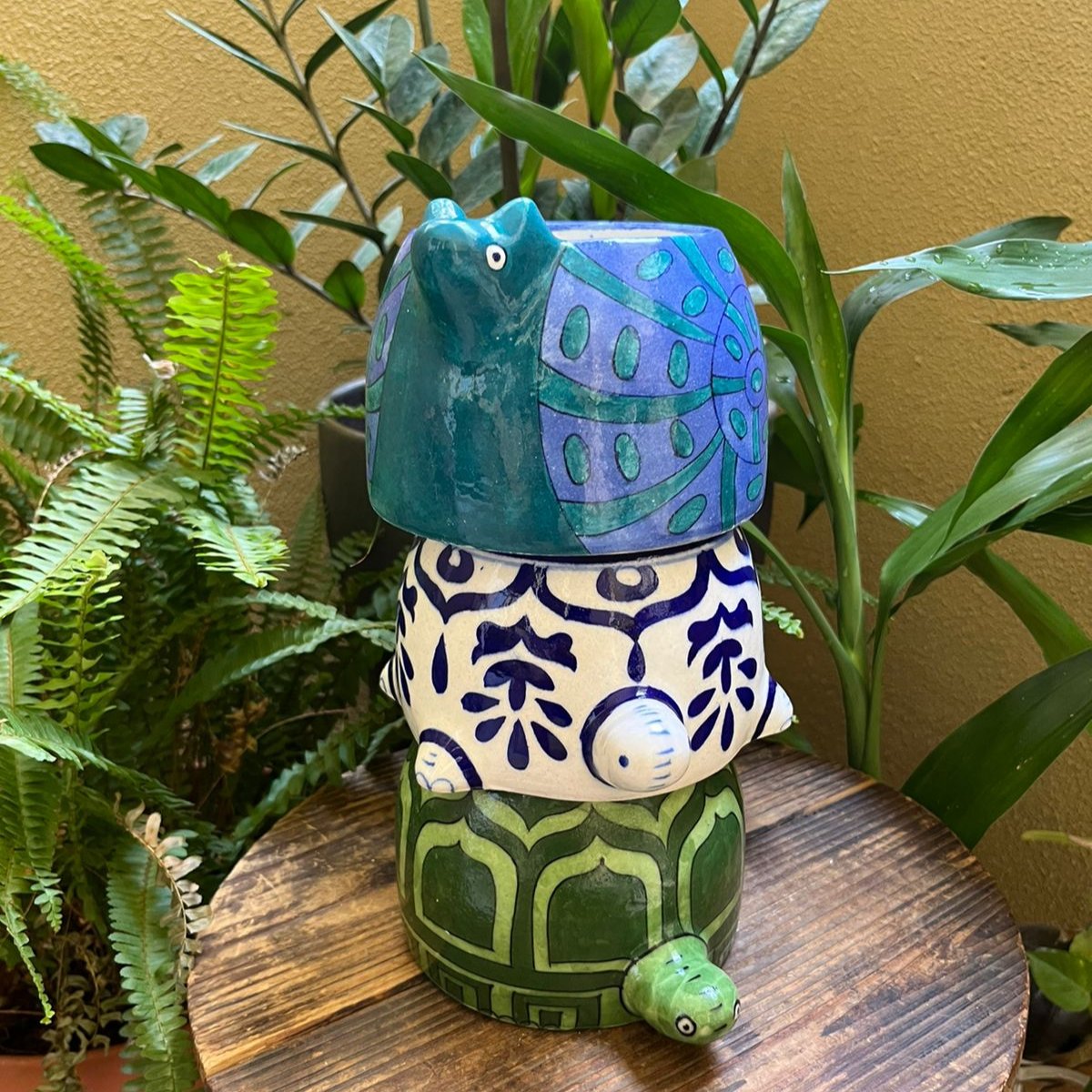 Ms. Tortoise Blue Pottery Planter