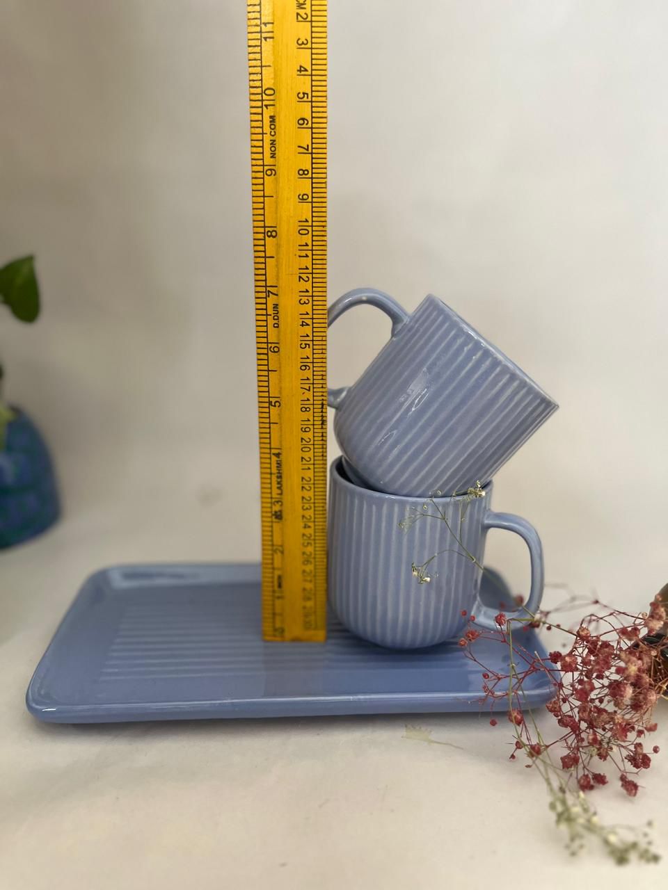 Blue Striped Mugs with tray