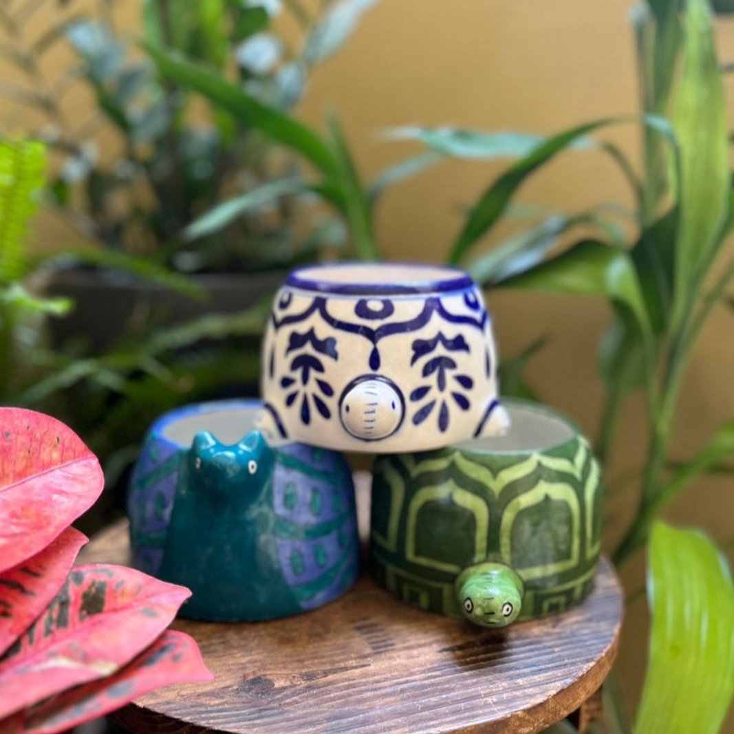 Ms. Tortoise Blue Pottery Planter